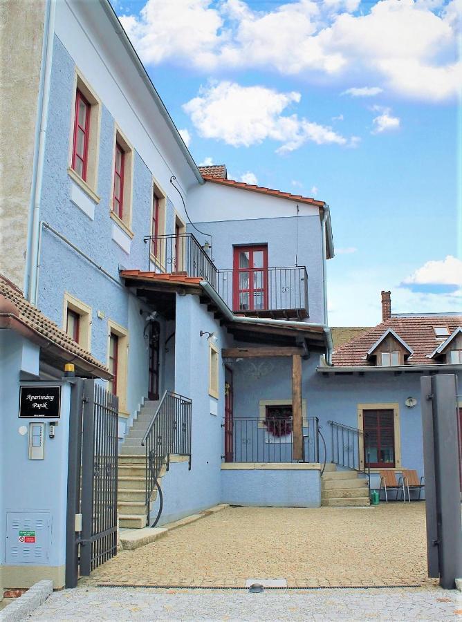 Apartmany Papik Nová Bystřice エクステリア 写真