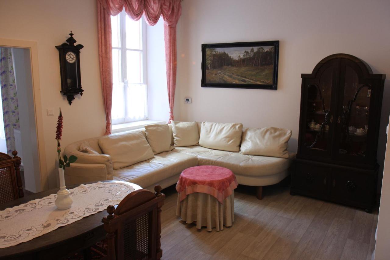Apartmany Papik Nová Bystřice エクステリア 写真